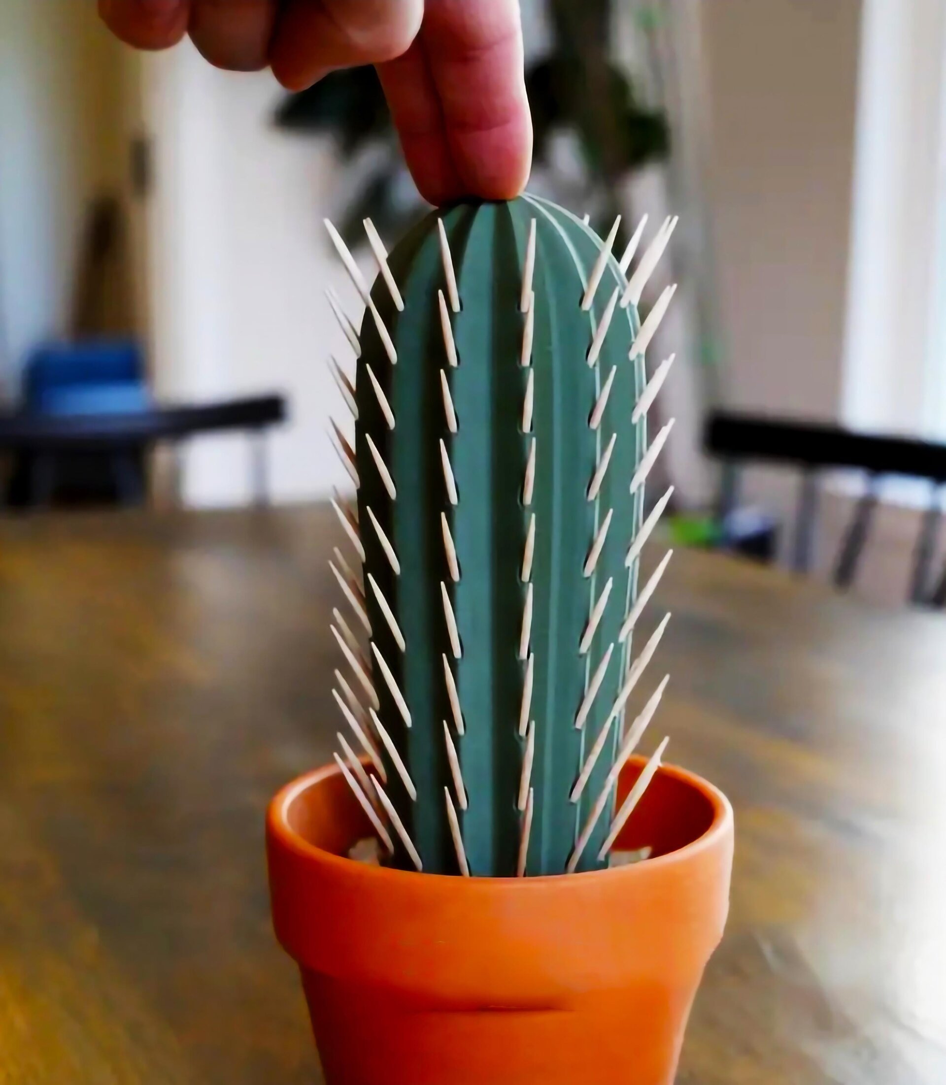3D Printed Cactus Toothpick Holder | Spring Dispenser