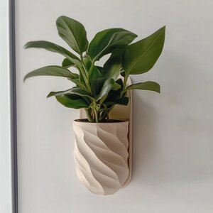3D Printed Wall Planter | Twisted Indoor Plant Pot