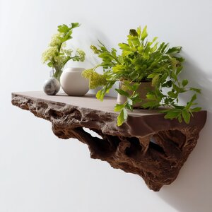 3D Printed Root-Inspired Wall Shelf
