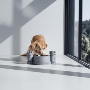 3D Printed Castle Pet Bowl Holder Stand